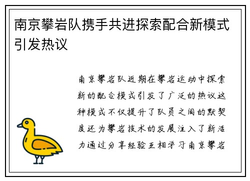 南京攀岩队携手共进探索配合新模式引发热议