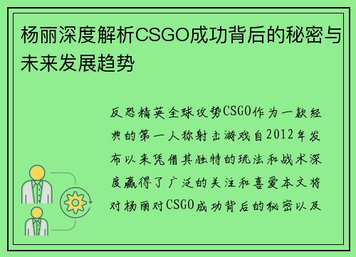 杨丽深度解析CSGO成功背后的秘密与未来发展趋势